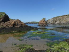 Grandiorite rocks centre and left, quartzite to distant right, Spiggie, South Mainland